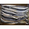 特價(jià)供應(yīng)臺灣冷凍秋刀魚 日本秋刀魚_冷凍水產(chǎn)品_加工水產(chǎn)品_簡加工類_供應(yīng)_食品商務(wù)中心_食品伙伴網(wǎng)