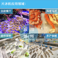 【利爾1噸片冰機肉食品加工降溫、超市海鮮保鮮圖片】利爾1噸片冰機肉食品加工降溫、超市海鮮保鮮