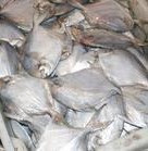 冷凍粗加工水產(chǎn)品-廠家低價(jià)直銷(xiāo)鯧魚(yú) 冷凍海珍品-冷凍粗加工水產(chǎn)品盡在阿里巴巴-.