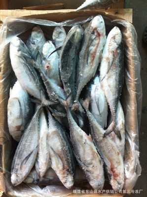 甲魚(yú)-俄羅斯野生甲魚(yú)采購(gòu)平臺(tái)求購(gòu)產(chǎn)品詳情