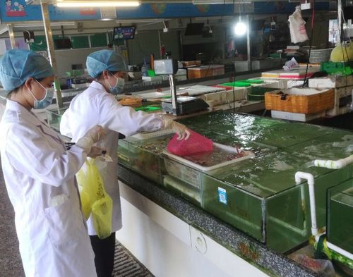 珠海金灣水產(chǎn)品和冷凍肉類等重點食品核酸檢測結(jié)果出爐