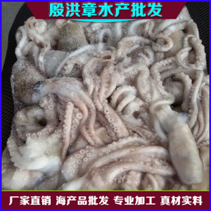 【水章魚】水章魚價格/圖片_水章魚批發(fā)/采購_水章魚廠家/供應(yīng)商